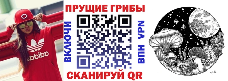 где найти наркотики Кондрово сайты даркнета как зайти Псилоцибиновые грибы Magic Shrooms