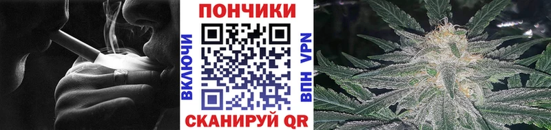 Канабис SATIVA & INDICA  мега зеркало  Кондрово  что такое  